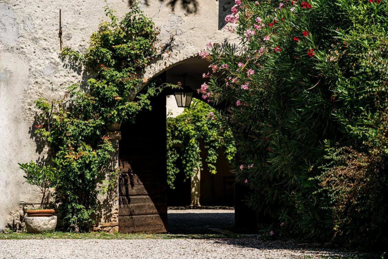Agriturismo Le Chiusure San Felice del Benaco Bagian luar foto