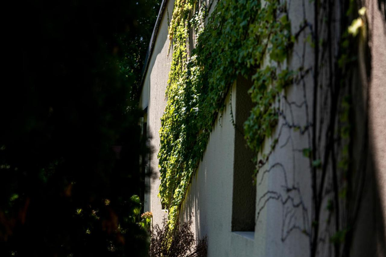 Agriturismo Le Chiusure San Felice del Benaco Bagian luar foto