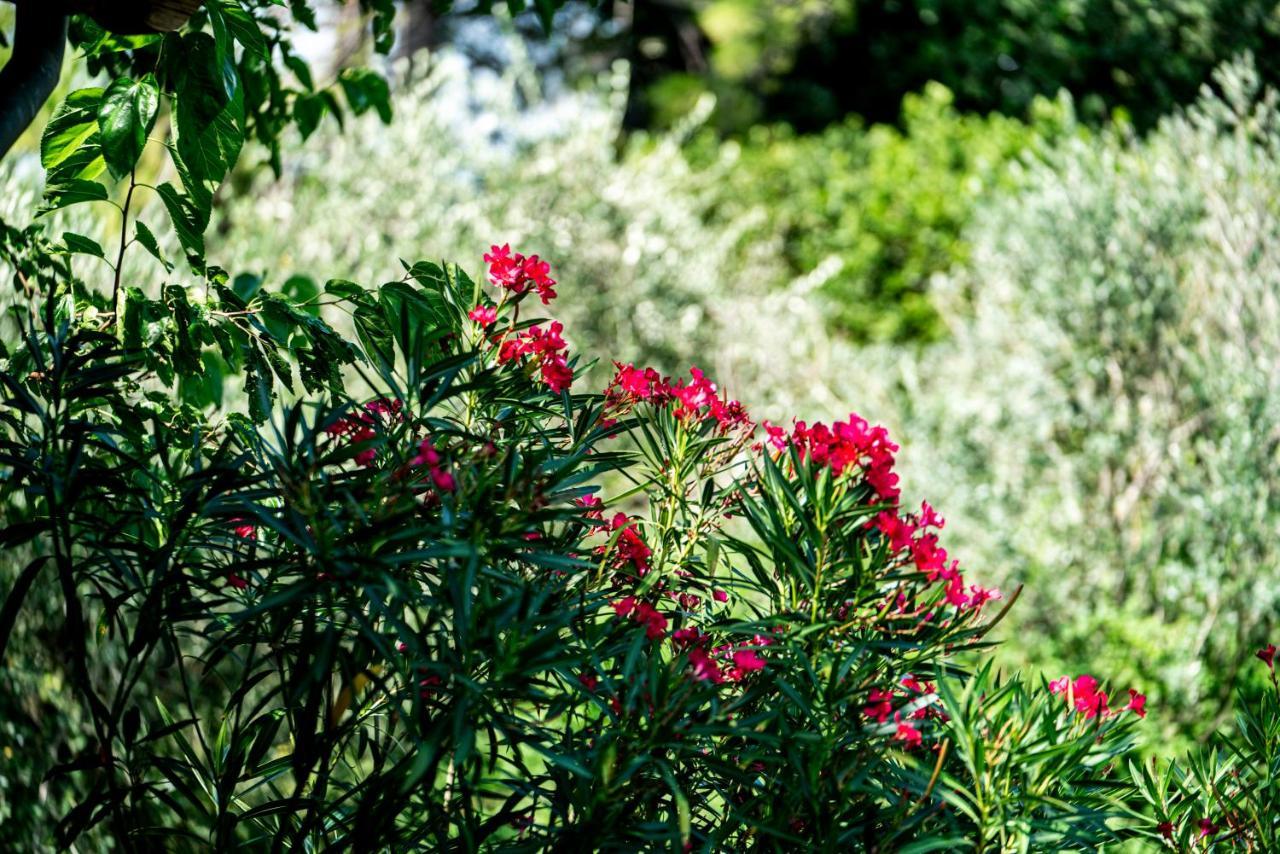 Agriturismo Le Chiusure San Felice del Benaco Bagian luar foto